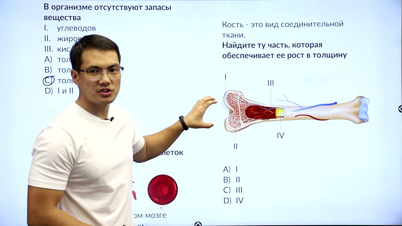 8 класс. Подготовка к III-этапу олимпиады IQanat по предмету «Биология»