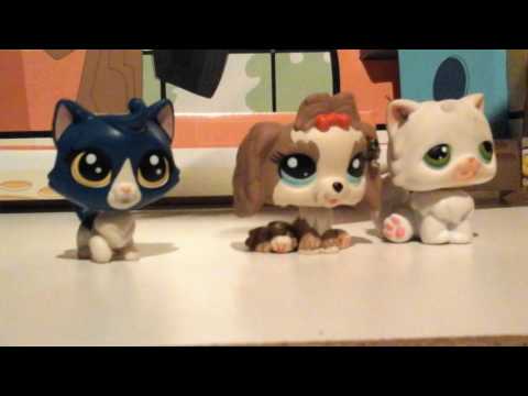 Cat and Dog LPS