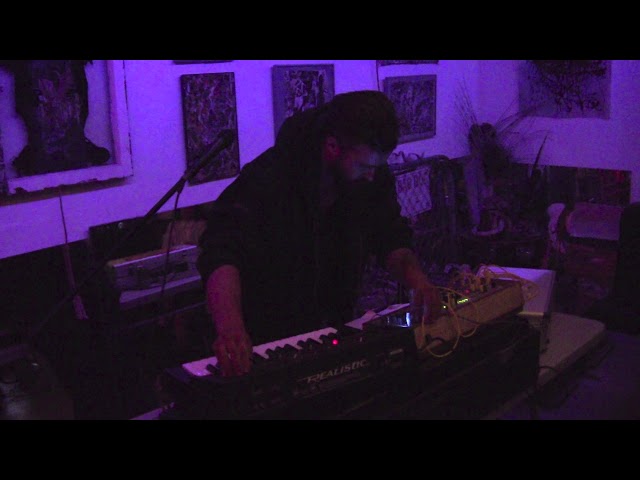 Wyn The Destroyer on June 12, 2019 in Gainesville, FL