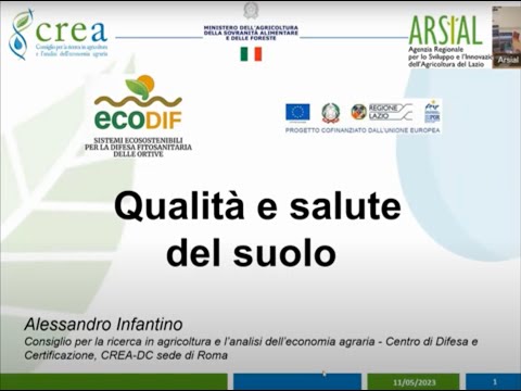 Video: Lavora come guardia del corpo: caratteristiche, descrizione del lavoro e recensioni