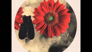 The Wooden Coat - The Owl Service & Alison O'Donnell