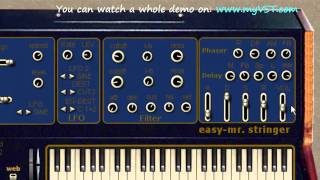 Celebrity easy-mr.stringer - Free VST - myVST Demo Wealth