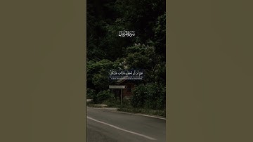 عبدالرحمن مسعد - سورة المزمل | ان ربك يعلم انك تقوم ادنى | #قران #تلاوة_خاشعة #عبدالرحمن_مسعد #تلاوة