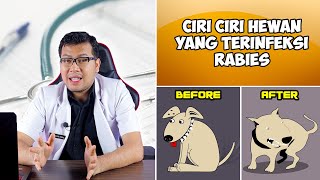 CIRI CIRI HEWAN YANG TERINFEKSI RABIES  DOKTER SADDAM ISMAIL