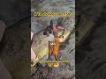 #fishing #drôle #poisson #comedy #dance #funny #fun #humour #humor #viral #2026 #shorts