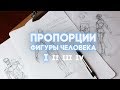 Пропорции фигуры человека. Часть первая [вид спереди]