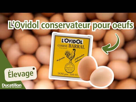 L'Ovidol conservateur pour