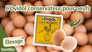 L&#39;Ovidol conservateur pour oeufs frais combiné barral