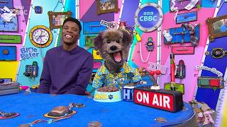 Cbbc Continuity - 20Th February 2026