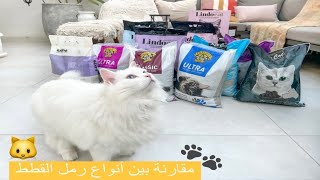 افضل نوع رمل للقطط | Best Cat Litter