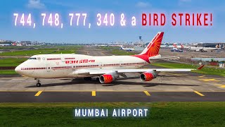 Mumbai Airport | Morning Plane Spotting | Mega Compilation @Vaibhav_Shah