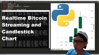 How to Code Bitcoin Realtime Streaming with 1 minute Candlestick Chart Net Worth