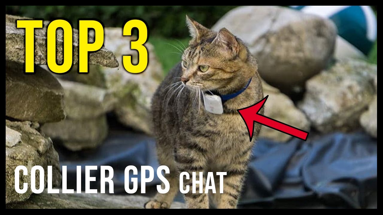 Mini traceur GPS avec collier pour chat – Pour toi Mon chat