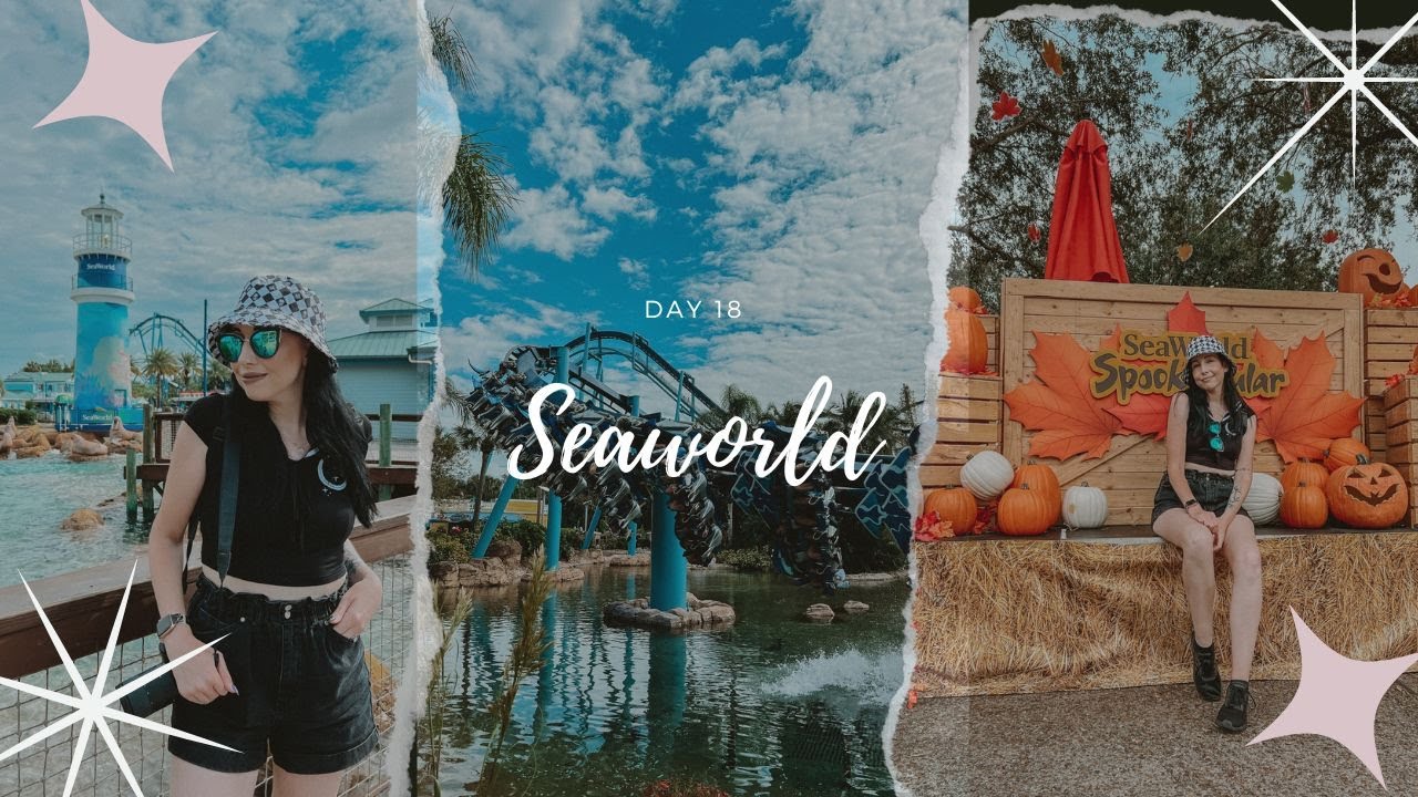 Orlando Florida Vlog Day 18: Feeding Sting rays at Seaworld!