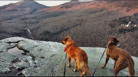 How to Collaboratively Create YouTube Playlists