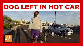 Former Arizona Rattlers player accused of leaving dog in hot car