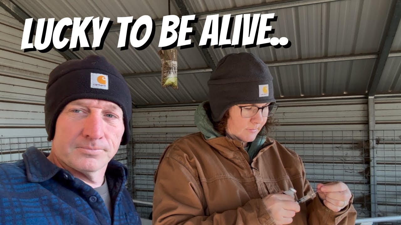 Ситуация осложнилась... Нам пришлось вмешаться.