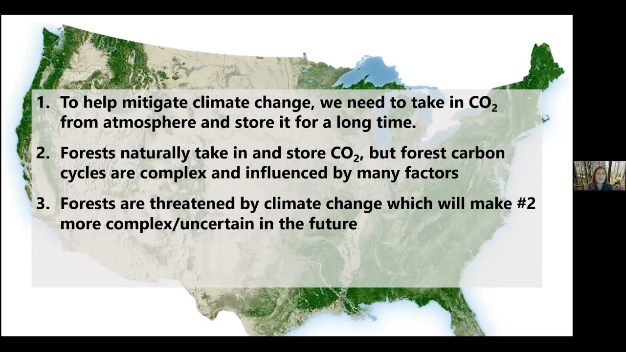 Green Drinks–the Basics of Forest Carbon Management for Landowners