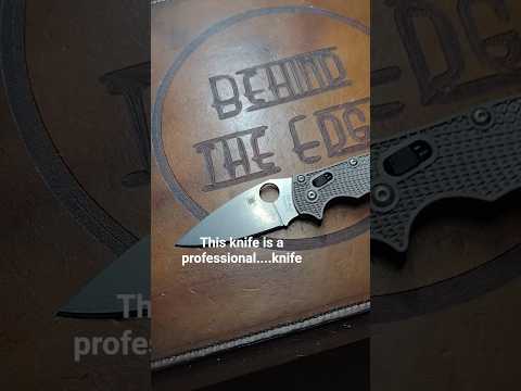 Manix  has been around 15 years, which in my opinion makes it a professional.