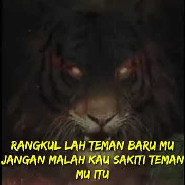 story wa Auman macan marah