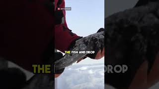 Fishing in the Cold! #shorts #shortsvideo #fishing #icefishing