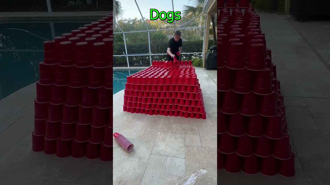 Attempting World Record For Most Stacked Red Cups #challenge