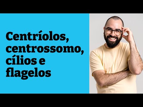 Vídeo: Onde os cílios são encontrados?