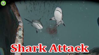 🦈🦈 Shark Attack 🦈🦈 screenshot 1