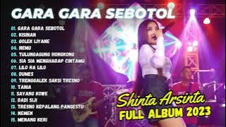 Shinta Arsinta - Gara Gara Sebotol | Goyang Esek Esek | Dangdut | FULL ALBUM 2023
