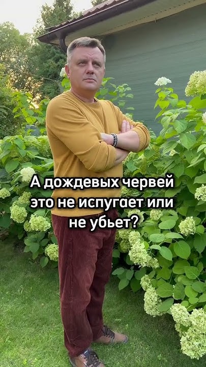 Средство от ХРУЩА Как и когда вносить - YouTube