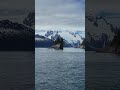 Glaciers Seward Alaska #alaska #glacier #mountains #mountain #views #nature #naturelovers #wildlife