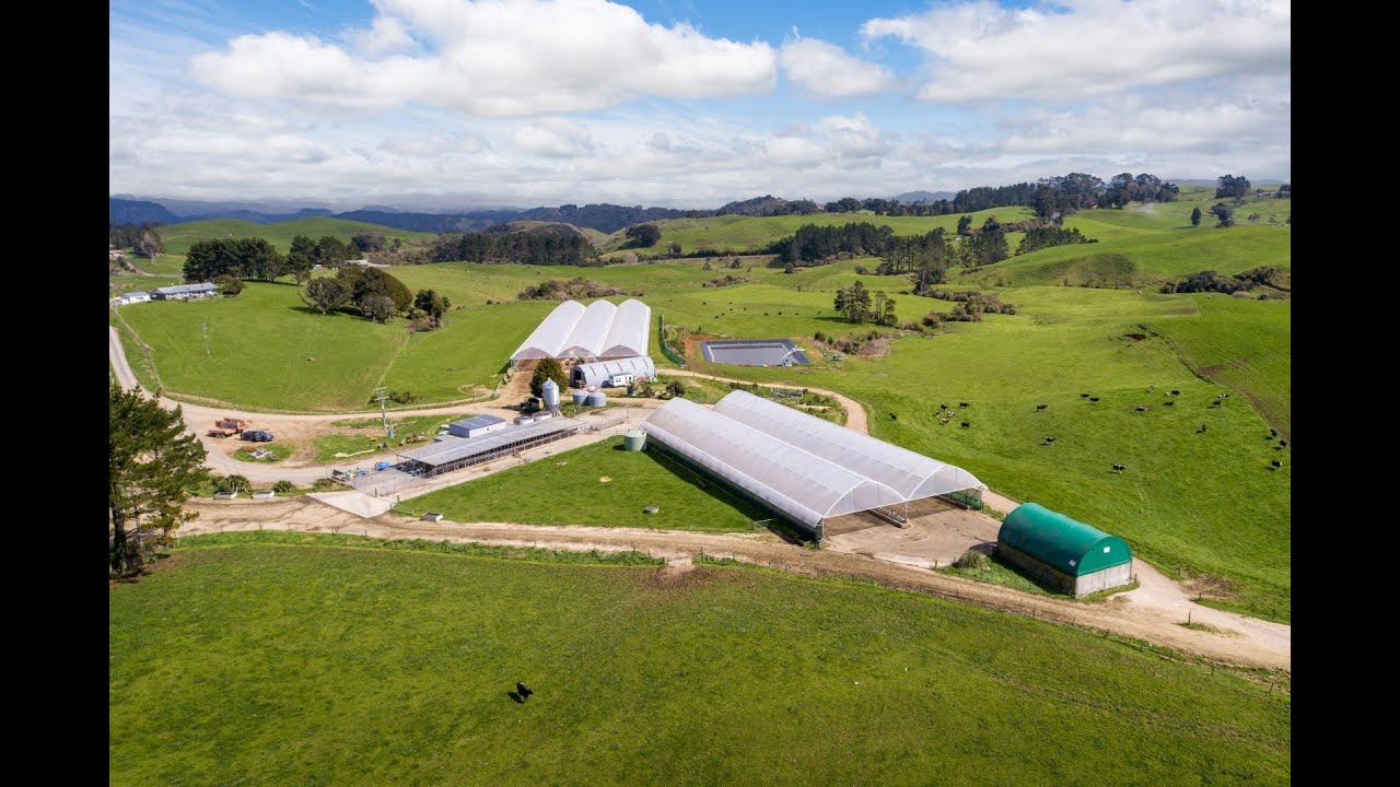 2838 State Highway 31 Kawhia Road YouTube 2838-state-highway-31-kawhia-road-youtube