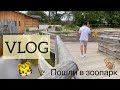 VLOG | Пошли в зоопарк | бедные зверюшки | приколы 18+😂