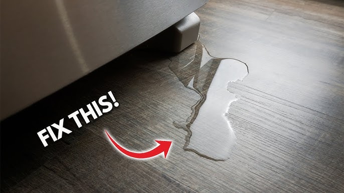 Where the water is leaking behind the Refrigerator? 