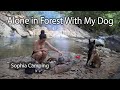 Solo camping in the forest with my dog  sophia adventures