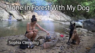 Solo Camping In The Forest With My Dog - Sophia Adventures