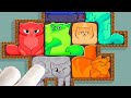 Puzzle Cats | Rompecabezas de Gatos - Todos Los Niveles Gameplay Juego Android &amp; iOS (New Update)