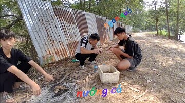 Đi câu cá và món cá nướng siêu ngon/Tú trẻ trâu Vlog