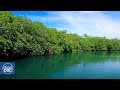 The wonders of Cuba: a natural paradise that will surprise the world (FULL DOCUMENTARY)