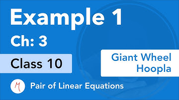 Example 1 - Chapter 3 - Class 10 | Pair Of Linear Equations In Two Variables  | NCERT | (Old Book)