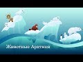 Животные Арктики. Интересные факты для детей