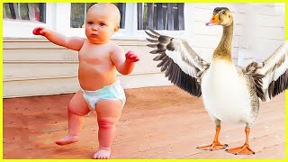 Funny Baby Playing Outdoor Compilation || 5Minute Fails