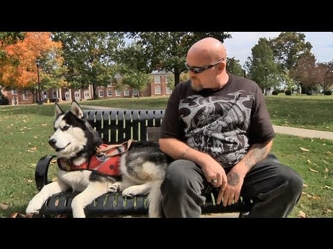 Video: La Dugout Dog di UNC segna un Homerun con i compagni di squadra [Video]