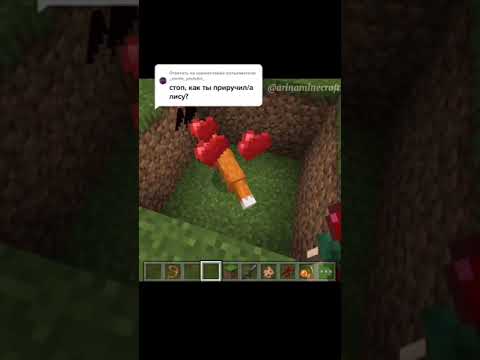 🦊Как приручить лису в Майнкрафте! #shorts #minecraft