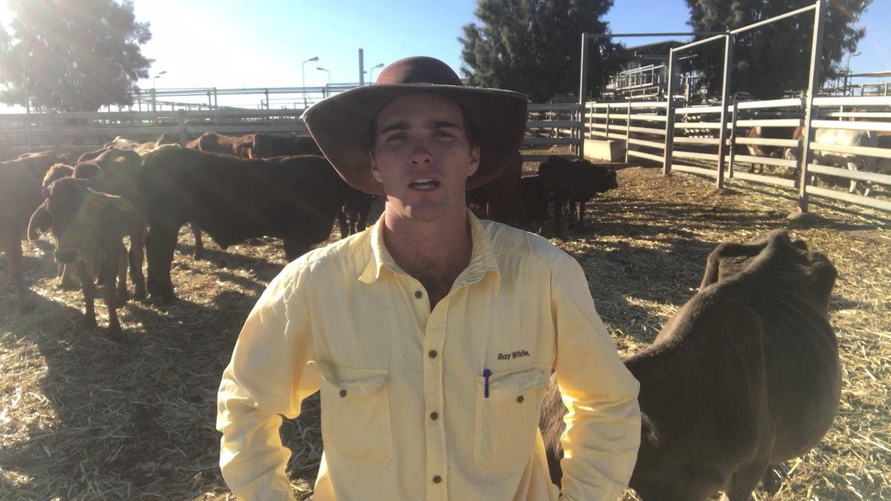Ray White Rural Roma Store Sale Market Report 6-6-17 - YouTube