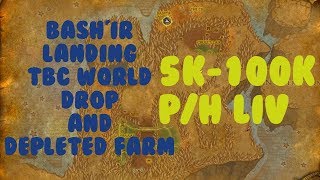 WoW Gold farm - Depleted farm | TBC boe farm (Bashir Landing)