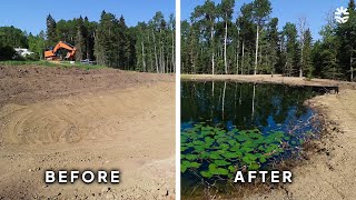 Here's Why You Need to Build a Pond
