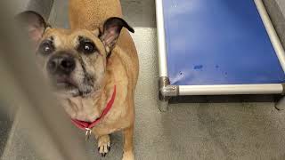 acs A684228