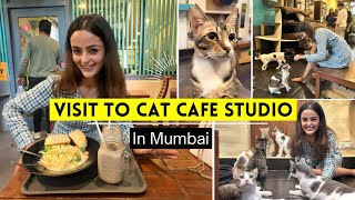 India’s first CAT CAFE with rescued cats   || Cafe & Kitty Cuddles || Vlog || Garima Verma ||