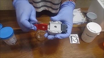 How to Use the Palintest Arsenic Visual Detection Kit